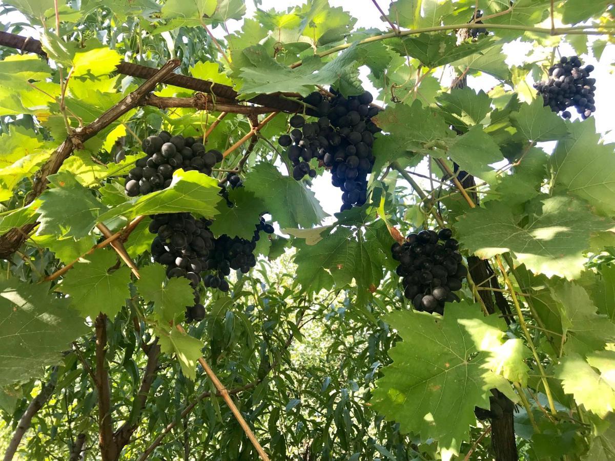 Ekas Rosengarten Гори Екстериор снимка