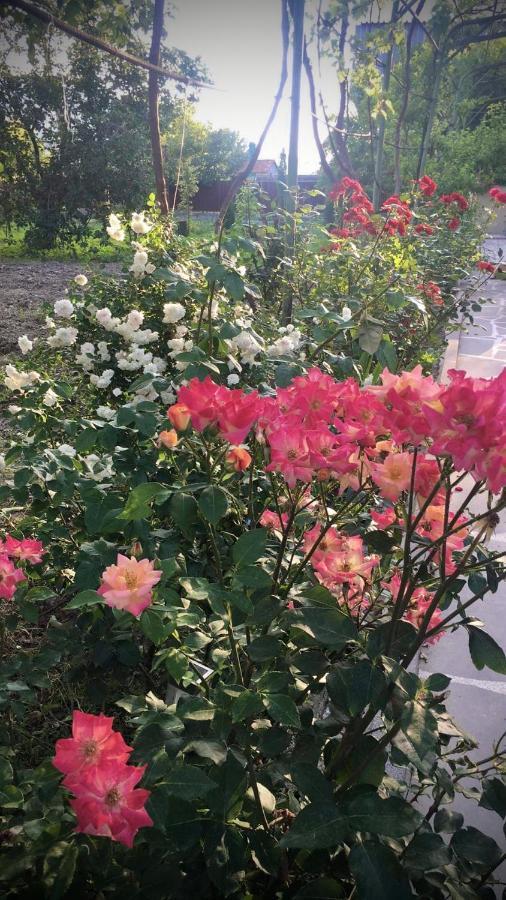 Ekas Rosengarten Гори Екстериор снимка