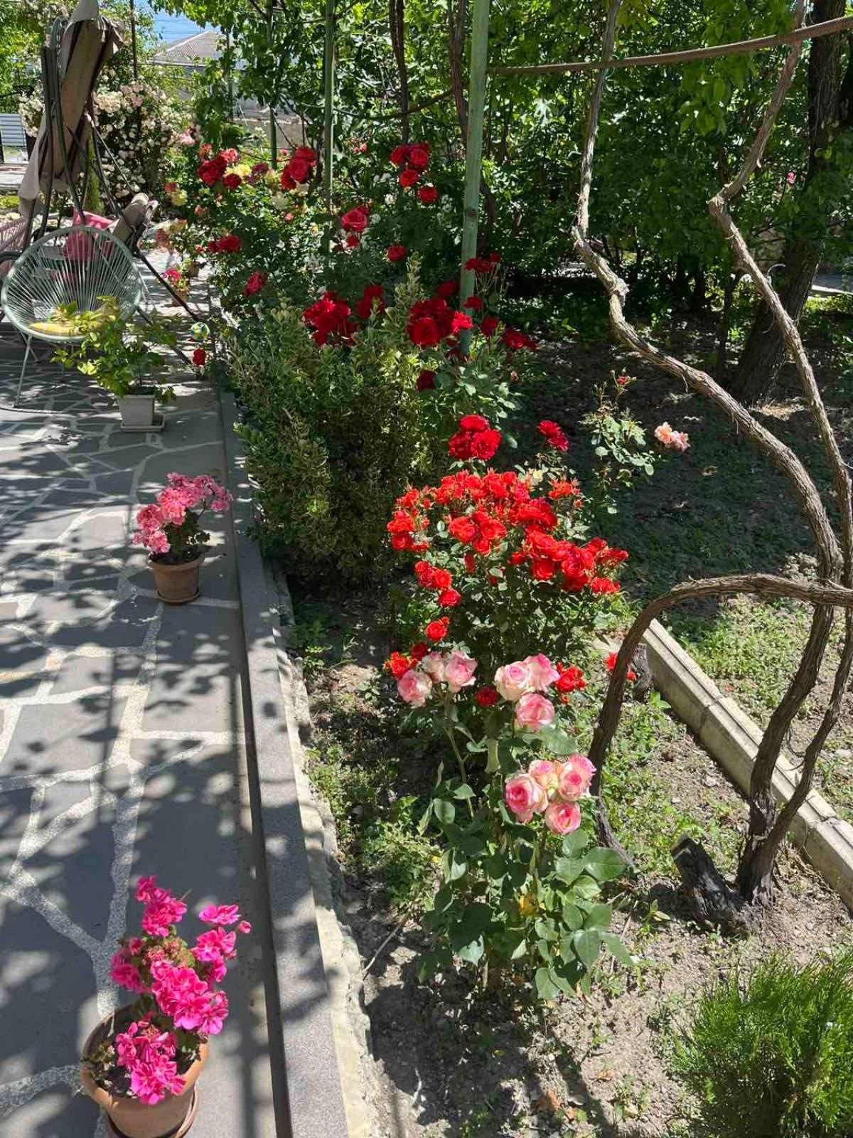 Ekas Rosengarten Гори Екстериор снимка