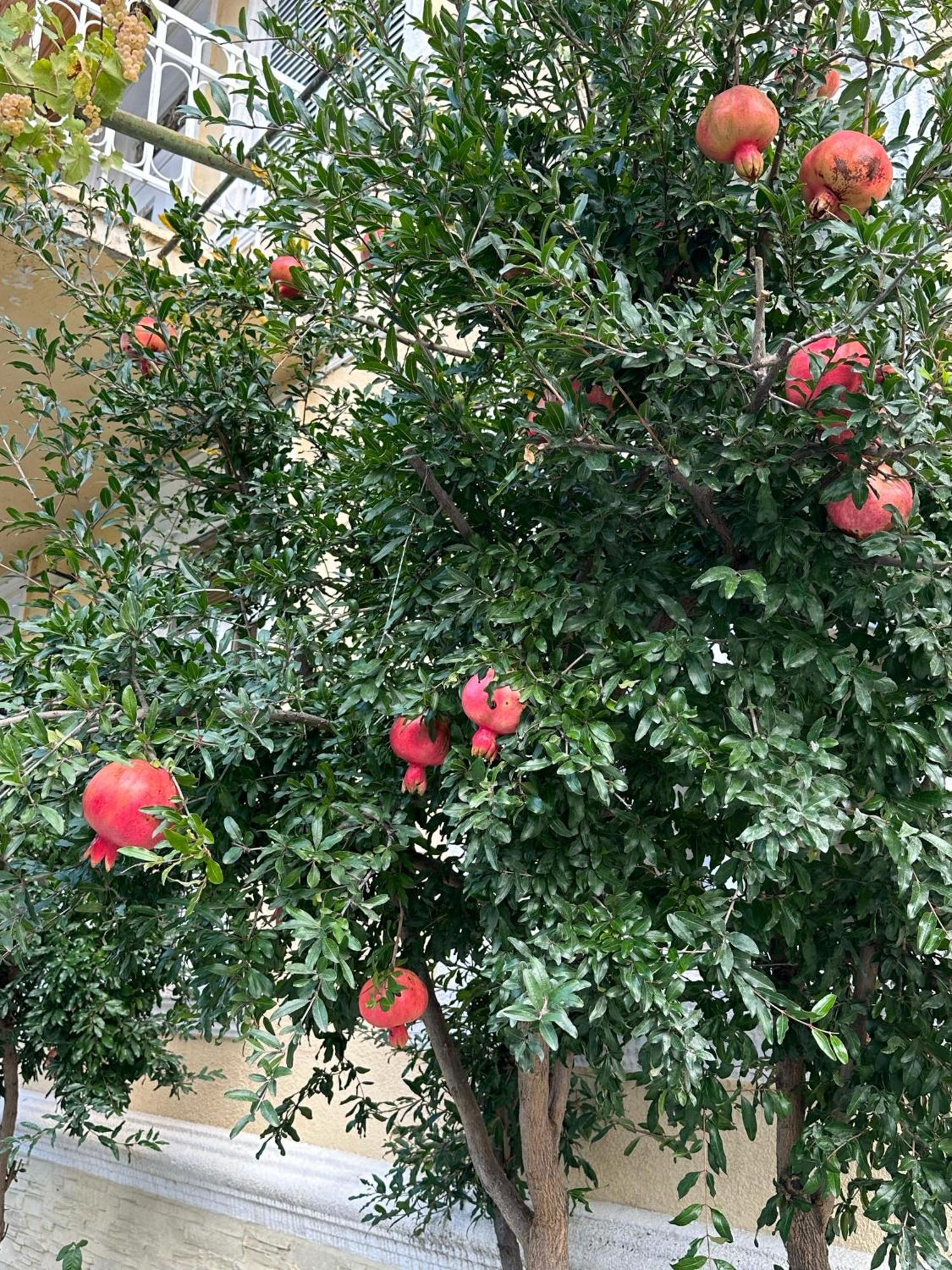 Ekas Rosengarten Гори Екстериор снимка